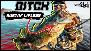 Lipless Crankbait Fishing Ditches for Prespawn Bass [upl. by Chinua326]