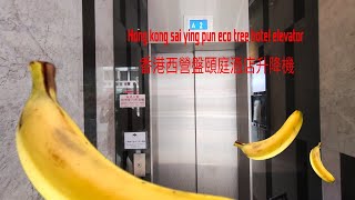 Elevator at hong kong eco tree hotel from sai ying pun 香港西營盤頤庭酒店升降機 [upl. by Nisa]