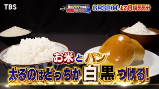 ザ・たっちが検証！お米とパン､太るのはどっち『それって実際どうなの会』63月スタート【TBS】 [upl. by Echikson658]