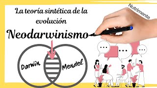 Neodarwinismo  TEORÍA SINTÉTICA de la EVOLUCIÓN [upl. by Shirk]