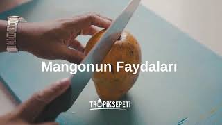 Tropik Sepeti  Mangonun Faydaları [upl. by Kihtrak]