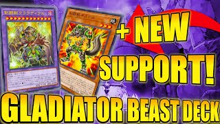 NEW GLADIATOR BEAST DECK PROFILE WITH NEW SUPPORT YuGiOh [upl. by Acsecnarf]