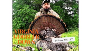 Virginia Gobbler Down Turkey Hunting in Virginia Finally Broke The Code 2024 [upl. by Eemaj551]