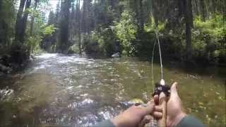 Fly Fishing Hyalite Creek in July [upl. by Tiebout26]