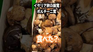 秋の味覚といえば…ポルチーニ茸！やっぱり本場じゃないと食感も香りも味わえないよね〜 イタリア イタリア旅行 イタリア観光 [upl. by Thaddus]