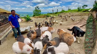 Um lugar encantado com tantas belezas naturais com muitas aves exóticas e animais lindos… [upl. by Bevvy989]