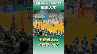 全日本インカレ2024甲斐優人選手の脳破壊スパイク バレーボール ハイキュー 専修大学 [upl. by Ahsiekrats]