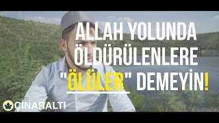 Bakara Suresi  Abdullah Altun Tilaveti [upl. by Banquer]