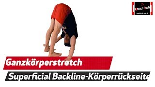 Sensationelle Dehnübung  Mega Stretch für die Körperrückseite [upl. by Anavlys]