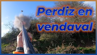 Perdiz en vendaval [upl. by Reiss29]