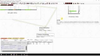 MCDS Tutorial Site Specific Recombination and Lambda Red Recombination [upl. by Gerty]