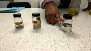 Alkali metals reacting with water C1 AQA GCSE [upl. by Asiral61]