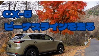 【CX5 Field Journey】CX5ビーナスラインを走る [upl. by Nhaj]