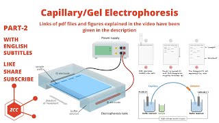 CapillaryGel Electrophoresis Part 2 Analytical Separations  Electroosmosis  DNA Sequencing  ZCC [upl. by Oralee353]