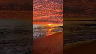 Beautiful BeachOeacn Wave Sounds For Sleep  Relaxing Wave Sounds Peaceful amp Restful Night [upl. by Redford483]