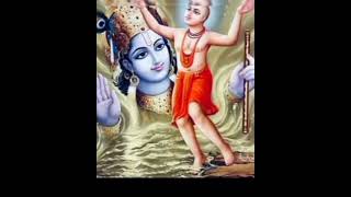 ✨🥀Amar gour nache nitai nache🥀✨krishnabhajan shortvideo [upl. by Arella]