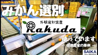 みかん手選別の作業効率UP！【外観選別装置Rakuda】導入事例をご紹介 [upl. by Irehc]