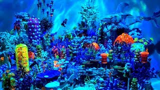 Marine Biologist Creates Amazing LEGO Coral Reef [upl. by Cliff501]