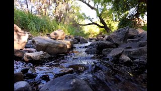 Soothing Nature Escape at Golden Gate Highlands National Park [upl. by Emeline464]