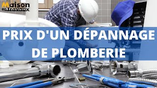 Tarif dun plombier et prix dun dépannage de plomberie [upl. by Sokem856]