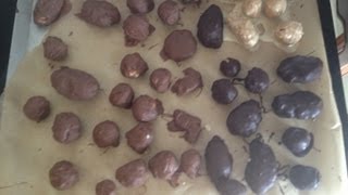 No Bake Peanut Bonbons  A Classic Foolproof Holiday Treat from bakeyourwaykitchen [upl. by Yecart]