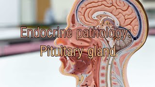 Endocrine pathology Pituitary gland [upl. by Enelcaj]