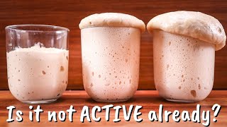 Why Do You Have to Activate Active Dry Yeast [upl. by Laddy880]