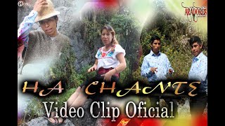 HA CHANTE  Los Aradores De Oaxaca  VIDEO CLIP OFICIAL 2021 [upl. by Sadowski403]