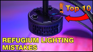 Whats the Best Approach to Using and Choosing the Right Refugium Light [upl. by Anileve]