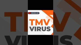 TOBACCO MOSAIC VIRUS TMV [upl. by Winther314]