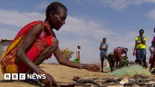 Kenyas Lake Turkana floods as East Africa faces drought – BBC News [upl. by Atsylac]