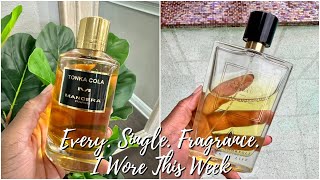 What I Wore This Week  Fragrance Rotation [upl. by Razal]