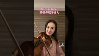 backnumber 高嶺の花子さん バンド backnumber好きな人と繋がりたい バイオリン バイオリンで弾いてみた 耳コピ violin music [upl. by Nedah409]