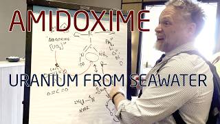 Amidoxime  Harvesting Uranium Dications from Seawater  Dr Stephen Boyd  TEAC12 [upl. by Aseeram586]