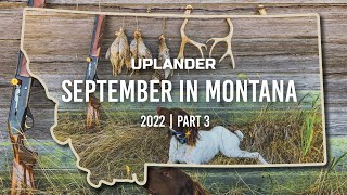 September in MONTANA Wild Birds in Wild Places Part 3 Finale [upl. by Mert]