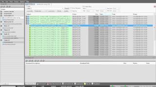 Downloading a RAR set with Newsbin Version 6 [upl. by Addison270]