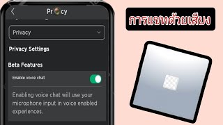 วิธีรับ ROBLOX VOICE CHAT 2024 [upl. by Nylecoj]