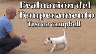 Test de campbell para evaluar el temperamento del perro [upl. by Yenaffit242]