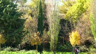 PERUGIA IL PERCORSO VERDE IN AUTUNNO  Full HD [upl. by Aneehsor]