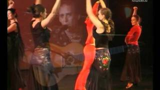 Flamenco tanzen lernen in der Tanzschule Berlin  TanzZwiEt [upl. by Fairley]