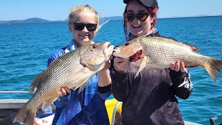 Fishing amp Mud Crabbing Fingermark Mackerel amp Crazy Catch in Crab Pot [upl. by Suirtimid]