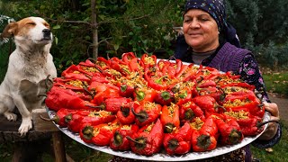 From Garden to Plate  Traditional Stuffed Bell Peppers [upl. by Berga]