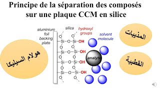 كروماتوغرافيا الطبقة الرقيقة  La chromatographie sur Couche Mince CCM [upl. by Aicinod]