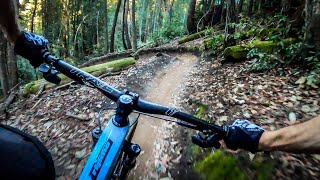 The BEST mountain bike ride in Northern California  The Flow Trail  Soquel Demo Forest [upl. by Hackathorn683]