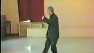 Master Da Liu Demonstrates First Section of his Yang Form [upl. by Artkele]