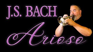 BACH quotAriosoquot for Cornet with Organ [upl. by April]