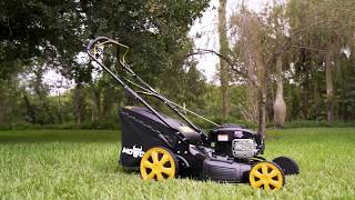 Self Propelled Walk Behind Mower wBampS 725EXi Engine [upl. by Couchman]