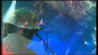 Super Furry Animals  Run Christian Run Glastonbury 2003MPG [upl. by Korten]