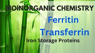 Ferritin amp Transferrin Iron Storage Proteins Biochemistry L 32 csirnet gate [upl. by Haerdna]