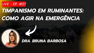 Live EP 07  Timpanismo em Ruminantes Como Agir na Emergência  05112024 [upl. by Eseela467]